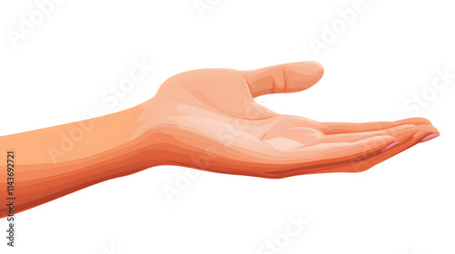 Young female flat hand holding something, isolated on transparent or white