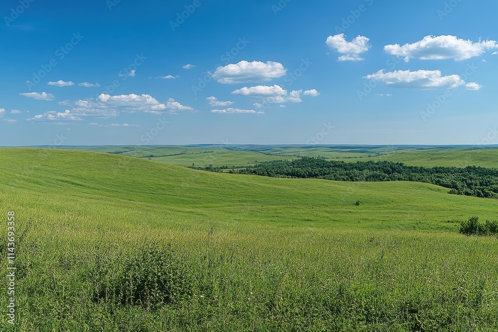 Fototapeta premium Expansive green field, rolling hills, vibrant grass, blue sky, fluffy white clouds, distant treeline