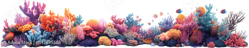 Vibrant Coral Reef Scene Isolated on White Background