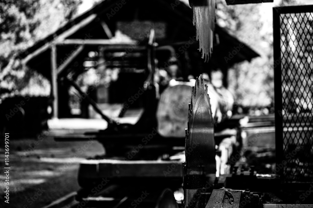 Shadowed Serenity: An Enigmatic Monochromatic Portrayal of a Resplendent Dwelling Shadowed Serenity: An Enigmatic Monochromatic Portrayal of a Resplendent Dwelling