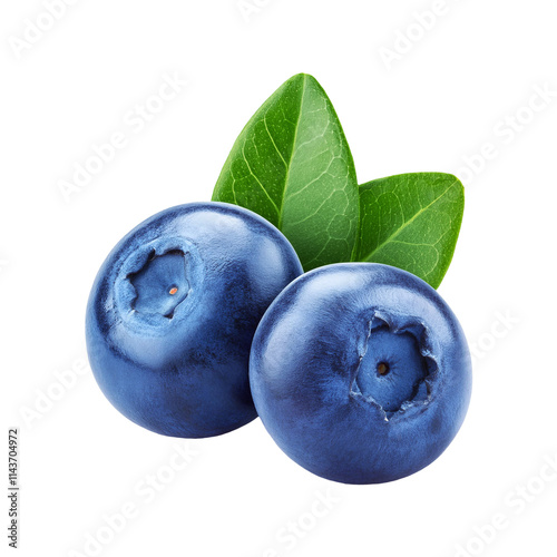 Two fresh blueberry fruit on transparent background