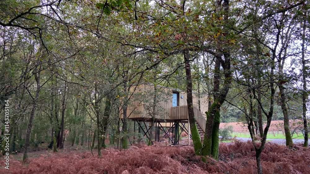 Luxurious rural log cabin in a dense forest. Luxurious rural log cabin in a dense forest.