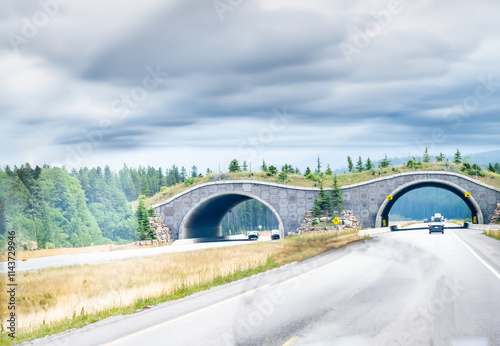 Wildlife overpass over a divided highway in Banff Canada