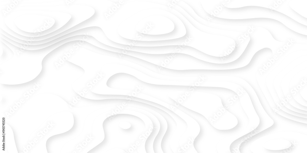 Vector minimal light element shadow landscape wave element curve graphic papercut design. Background with lines Modern black and white carve wave line abstract luxury papercut background. Vector minimal light element shadow landscape wave element curve graphic papercut design. Background with lines Modern black and white carve wave line abstract luxury papercut background.