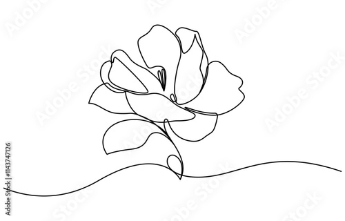 Magnolia flowers continuous line art. Abstract minimal hand drawing sketch. Vector illustration, Flower drawing mono line, Magnolia flowers in one line art style