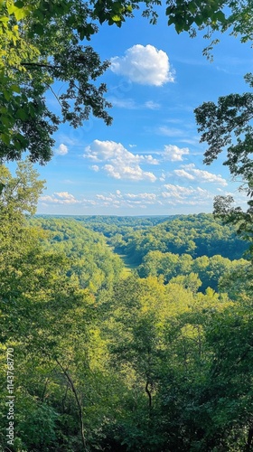 A serene view of rolling hills and lush greenery under a bright blue sky in the afternoon