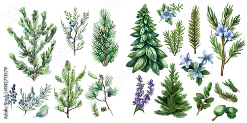collection of evergreen fir tree and juniper twigs. Generative AI.