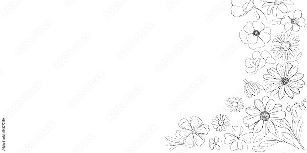 Vector white nature leaves minimal flowers and branches with leaves background. Vector white nature leaves minimal flowers and branches with leaves background.