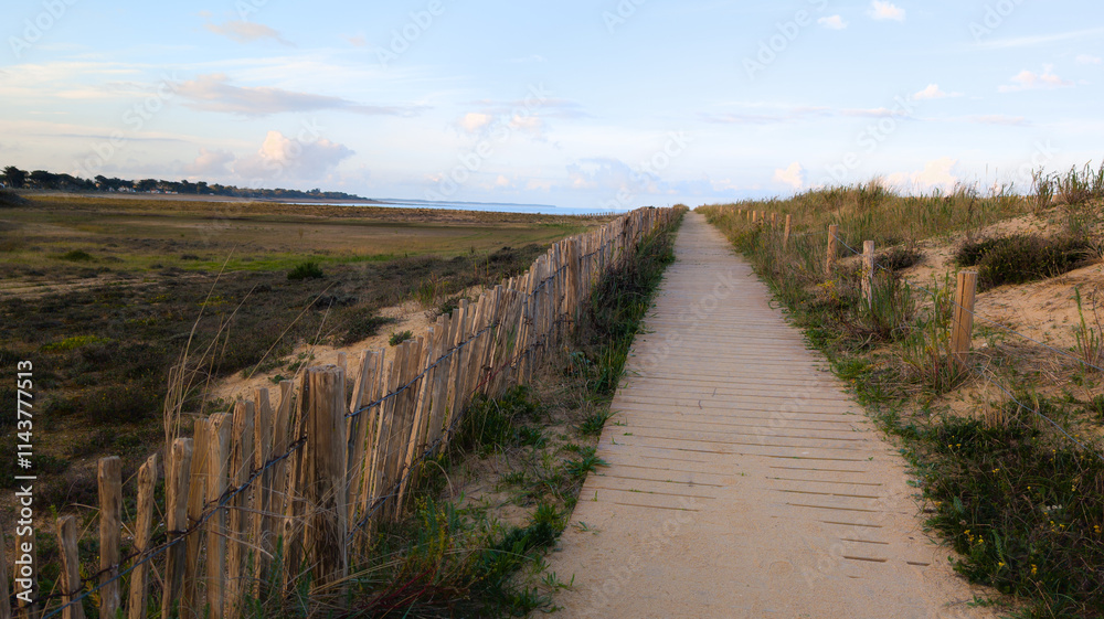 access ocean sandy pathway fence wooden to beach atlantic sea coast french west in France access ocean sandy pathway fence wooden to beach atlantic sea coast french west in France
