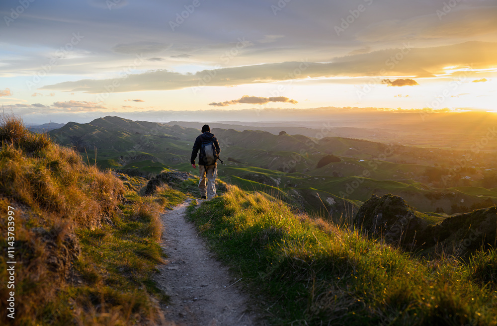 Man hiking on top of the hill. Setting sun casting a warm glow on rolling hills. Te Mata Peak. Hawke’s Bay.