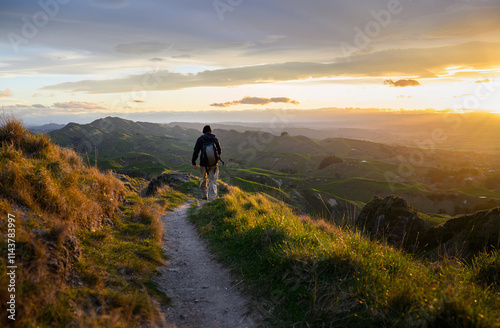 Obraz na płótnie Man hiking on top of the hill. Setting sun casting a warm glow on rolling hills. Te Mata Peak. Hawke’s Bay. w salonie