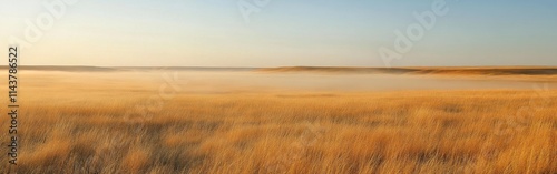A beautiful sunrise over the golden grasslands of the Great Plains in early morning light with soft mist rising from the ground