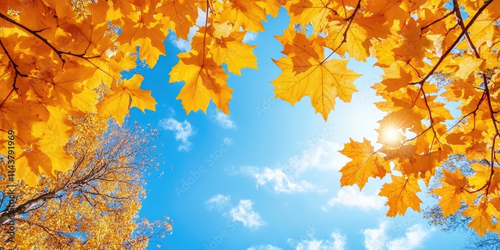 Vibrant blue sky contrasts beautifully with yellow leaves on a sunny autumn day, creating a picturesque scene that captures the essence of fall and the beauty of autumn foliage. Vibrant blue sky contrasts beautifully with yellow leaves on a sunny autumn day, creating a picturesque scene that captures the essence of fall and the beauty of autumn foliage.
