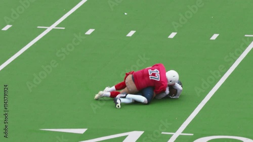 American Football Clash Unfolds as Professional Male Athletes in Red and Blue Jerseys Tackle Competition on a Green Outdoors Field. Agile Footballers Scoring Points and Celebrating