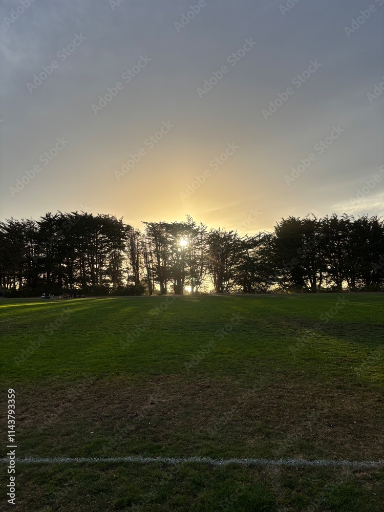 Obraz premium sunset in the park