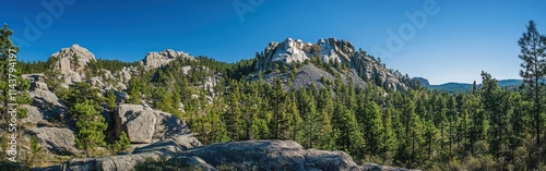 Breathtaking view of Mount Rushmore with iconic granite faces and lush pine forests in South Dakota photo