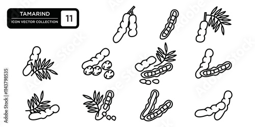 Tamarind icon collection, editable and resizable vector icon templates.