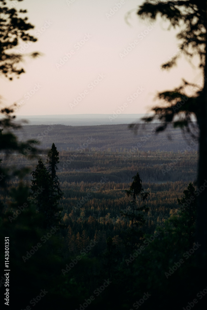 Obraz premium Dark Forest Layers at Sunset