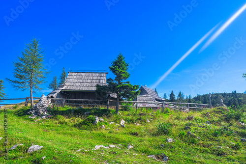 Traditional wooden houses overlooking logarska dolina valley in slovenia during summer photo