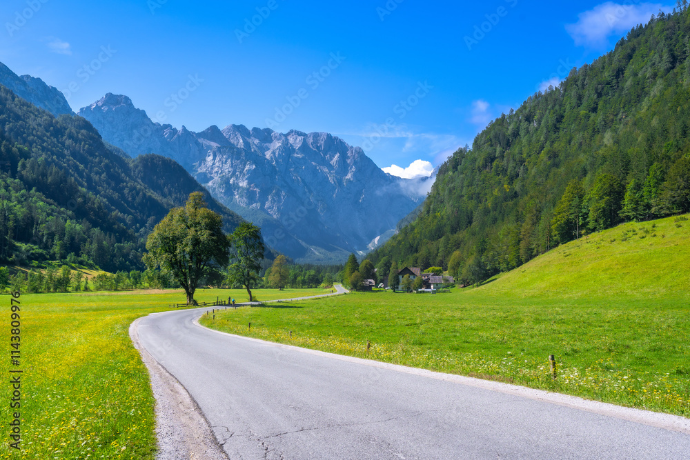 Fototapeta premium Winding road leading through logarska dolina valley in slovenia during summer