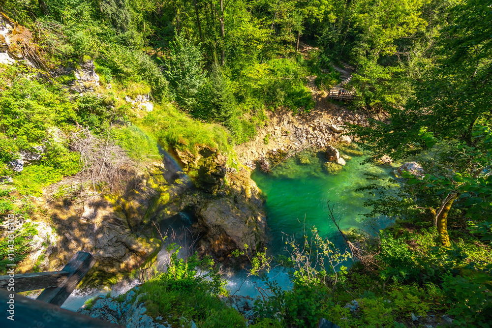 Radovna river flowing through the lush green vintgar gorge in slovenia Radovna river flowing through the lush green vintgar gorge in slovenia