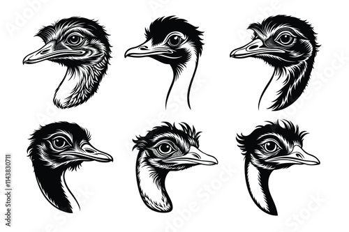 Set of ostrich head silhouette vector illustration