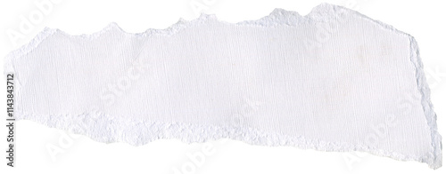 Wallpaper Mural Textured crumpled white paper, versatile background for collage, scrapbooking. Torontodigital.ca