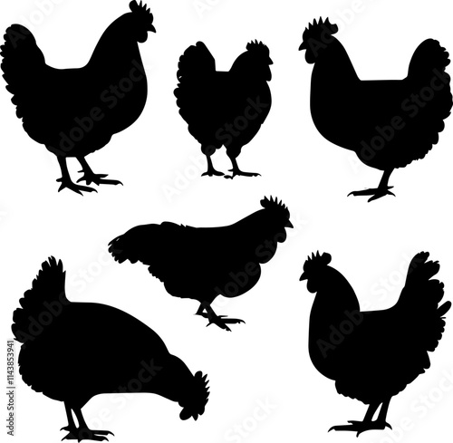 Silhouettes of Roosters Hens in Various Poses Farmyard Poultry Illustration