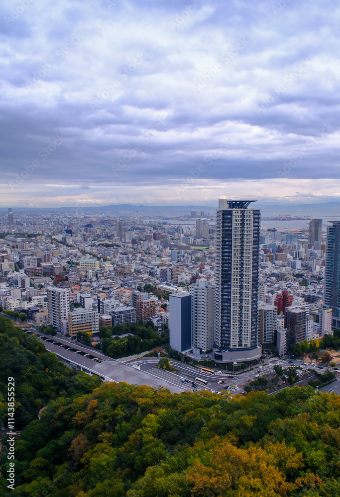 Fototapeta premium downtown city