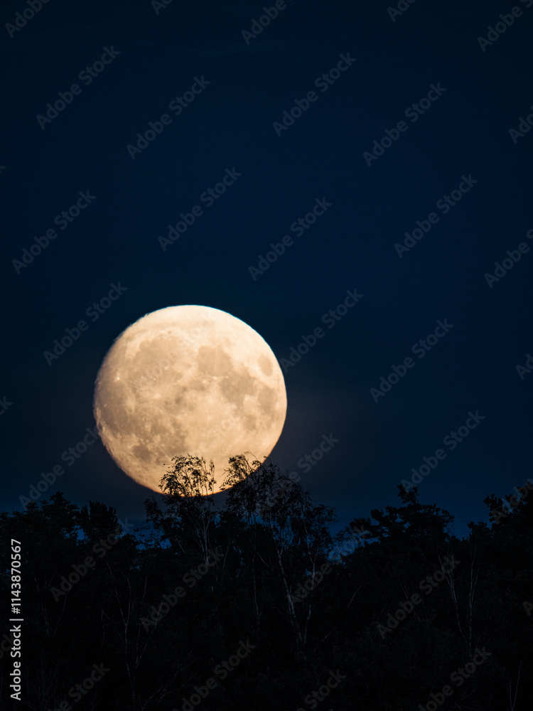 Illuminated full moon in sky Illuminated full moon in sky