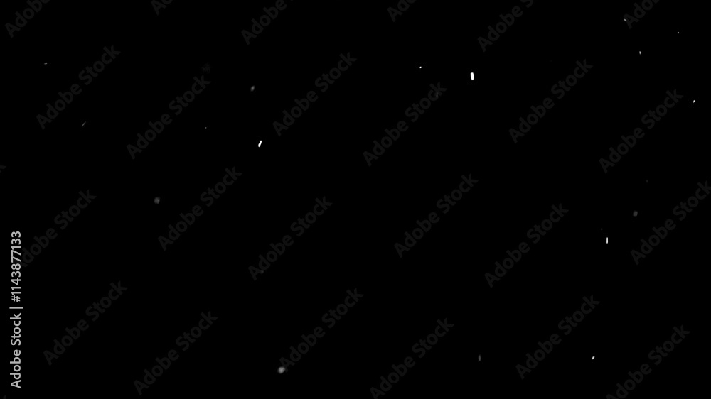 slow falling snow on the black backgrounds