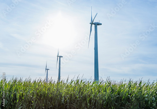 Wind turbines in rows at farm against sky photo