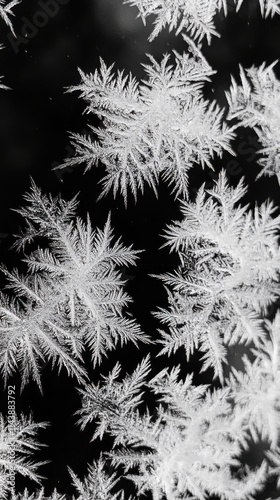 Wallpaper Mural Intricate frost patterns create a stunning winter tapestry on a cold window pane during a frosty morning Torontodigital.ca