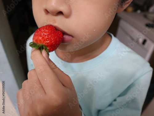 sweet and fresh strawberries holding on hand design for harvest concept