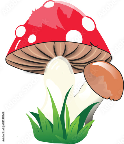 Two forest mushrooms. Red and brown mushroom. Sticker. Vector illustration