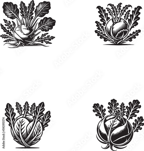 "Intricate Kohlrabi Silhouettes Collection - Black and White Vector Designs"