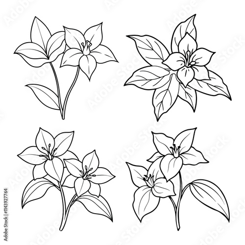 Trillium flower outline coloring book page line art drawing vector illustration for children and adults