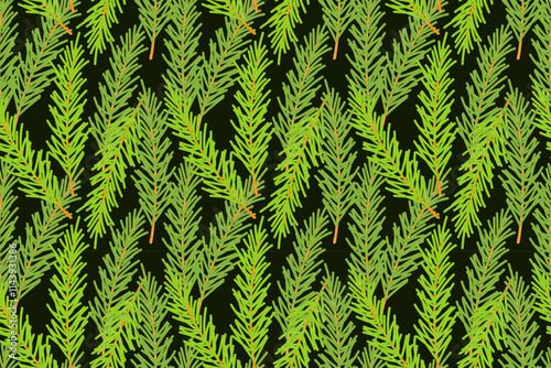 Pattern of fir branches, coniferous green branches, Christmas holiday background, backdrop, backing, on dark background. Vector illustration