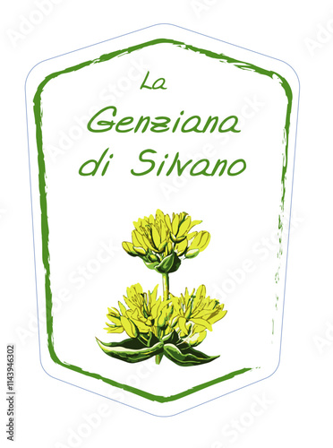 Etichetta liquore genziana. Mockup etichetta genziana abruzzese.