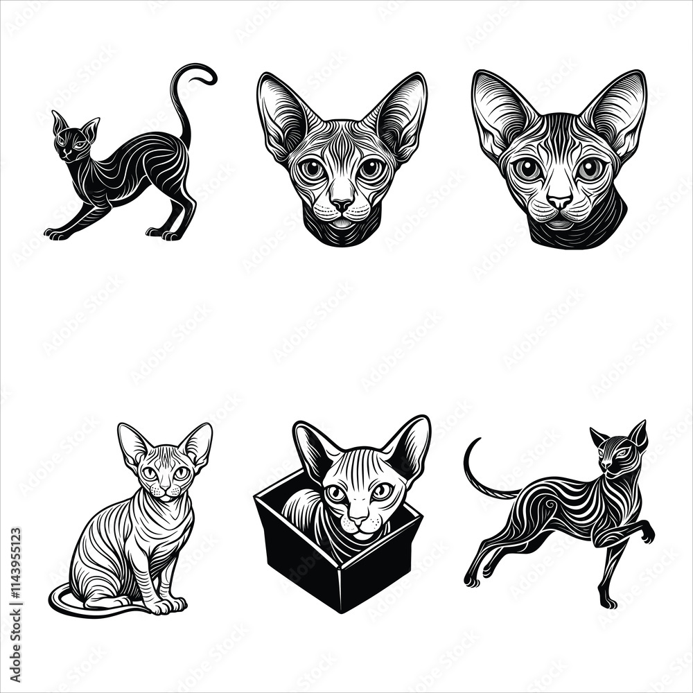 Sphynx Cat vector  Silhouettes Bundle