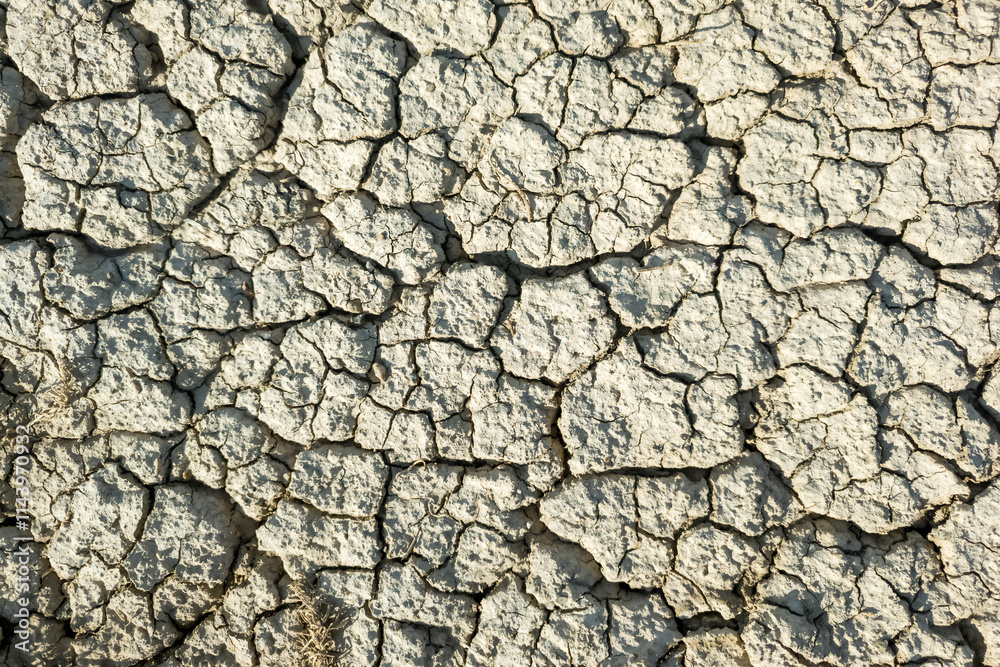 Dry cracked earth texture, cracks in the ground due to hot dry summers. Ecological problems. Climate warming. Dry land in summer, global natural crisis. Ground drought fertile soil dried up and cracke Dry cracked earth texture, cracks in the ground due to hot dry summers. Ecological problems. Climate warming. Dry land in summer, global natural crisis. Ground drought fertile soil dried up and cracke