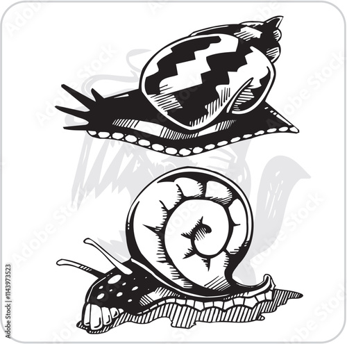 Vector Set - Snails.