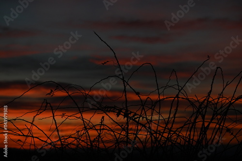 sunset with colorful sky, czech, silesia, Opava region, Bolatice photo