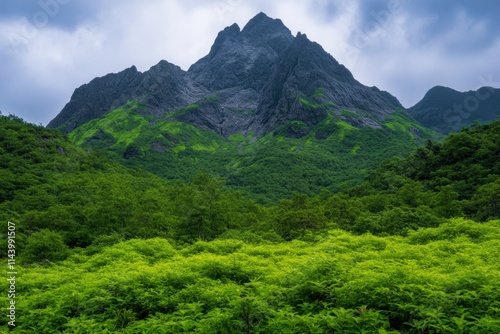 Lush green valley with dramatic, dark mountain peaks under a cloudy sky.