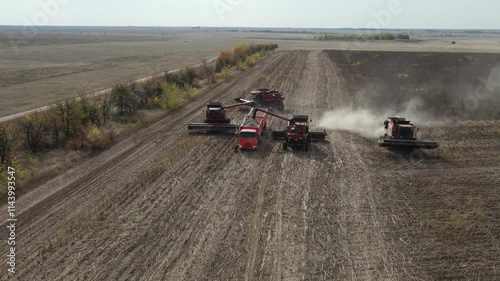 A combine harvester fills grain into a truck in the field