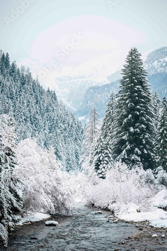 Canazei, the jewel of the Val di Fassa under a heavy snowfall. photo