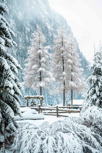 Canazei, the jewel of the Val di Fassa under a heavy snowfall. photo