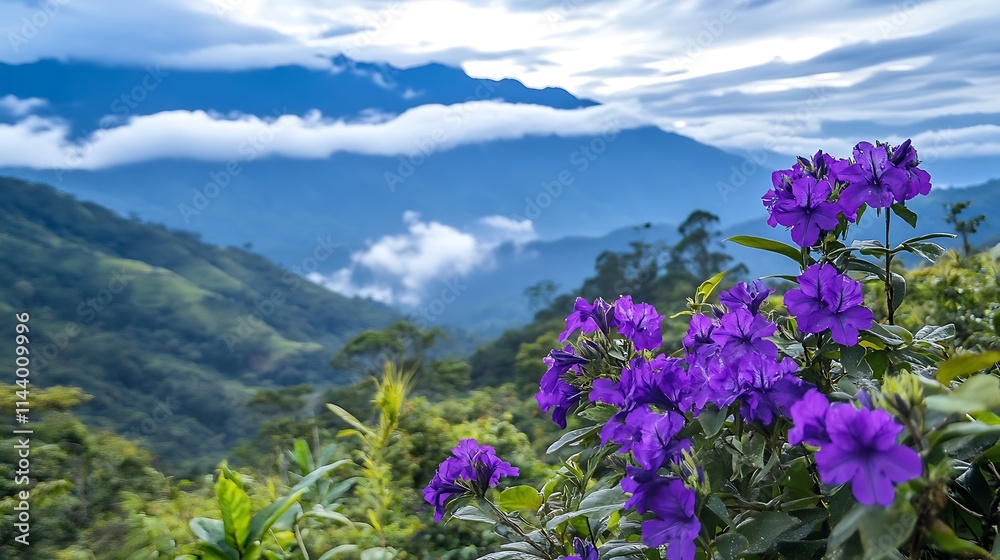 Vivid purple blooms beautifully overlook misty mountain peaks photo. AI Generated Vivid purple blooms beautifully overlook misty mountain peaks photo. AI Generated