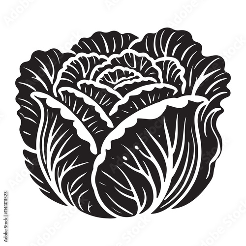Cabbage Silhouette Vector Illustration, Solid White Background.