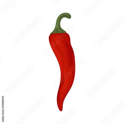 Illustration of Red chili pepper 
